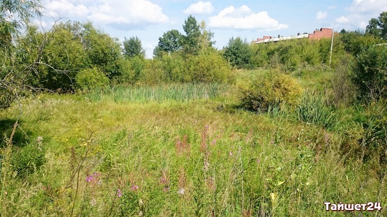 tsht98