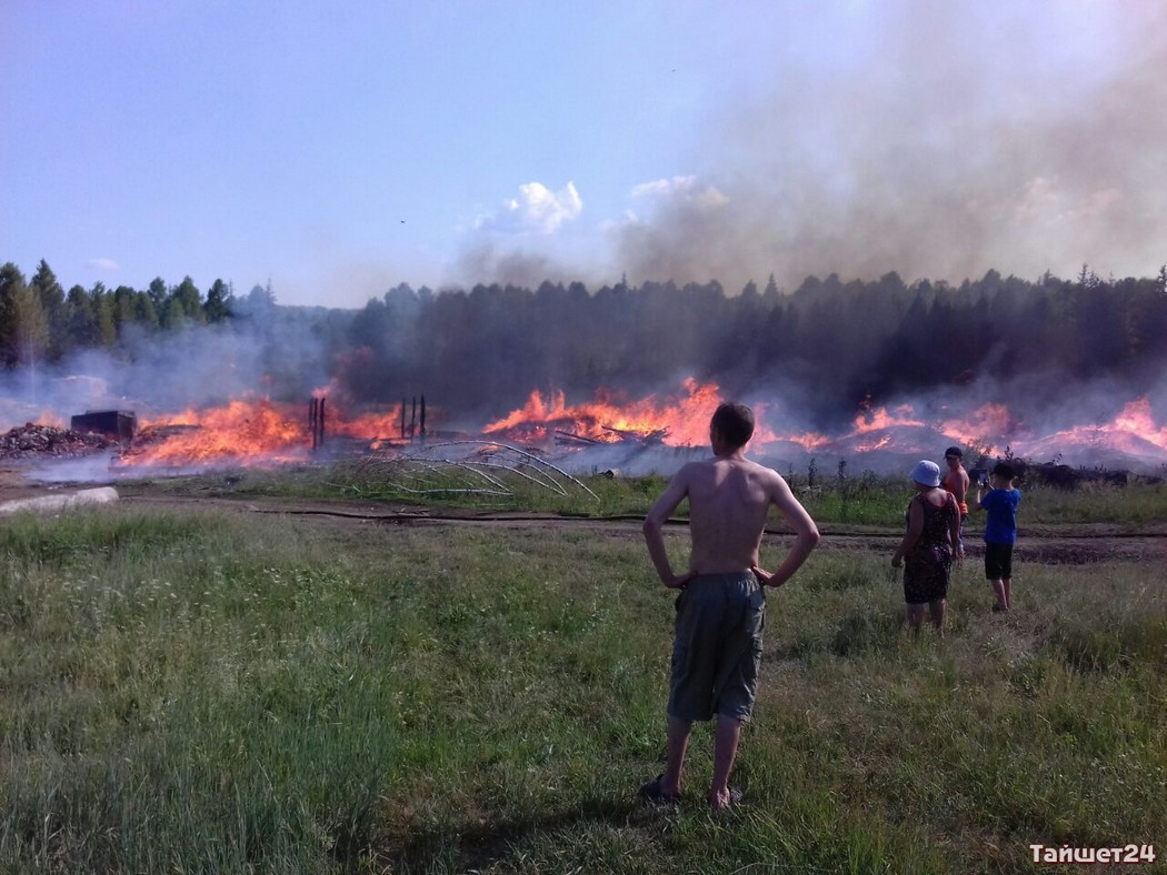 Погода в тайшете на завтра