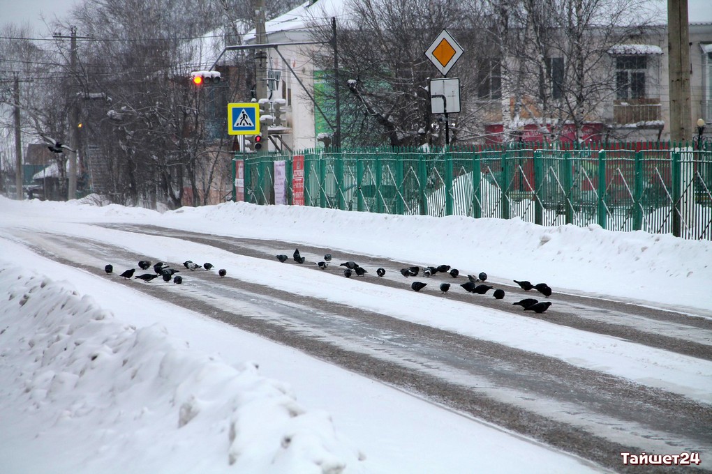 Погода в черемхово на 10 дней точная. Климат Тайшета. Снег в Иркутске 2023. Тайшет 24 погода. Погода Тайшет.