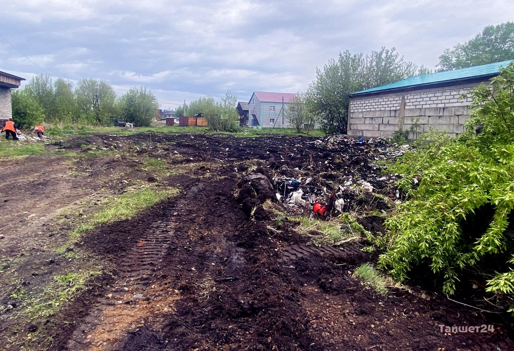 Разбитый сад. Пустырь. Ворота на пустыре.